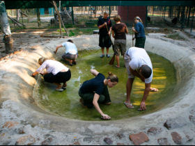 volunteers cleaning an enclosure