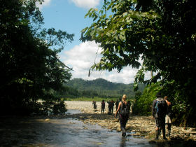 volunteers on a jungle trek