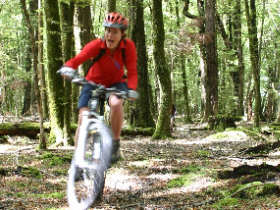 4 day mountain biking vacation in New Zealand