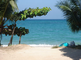 a beautiful beach on Koh Tao
