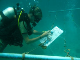 a volunteer carrying out reef surveys
