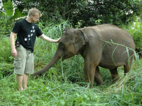 A volunteer meeting one of the young elephants