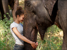 Elephant conservation vacation, Thailand