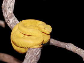 Panama trekking vacation, Darien Gap