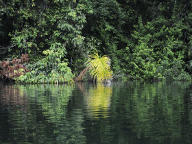 Panama trekking vacation, Darien Gap