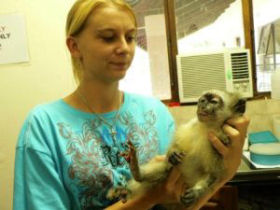 Volunteer at a wildlife sanctuary in South Africa