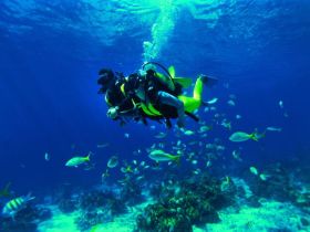 Scuba diving and tour in Cuba