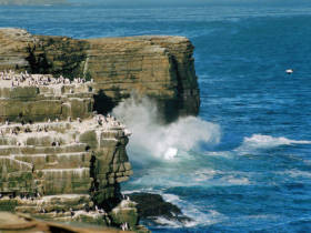 Falkland Islands holiday