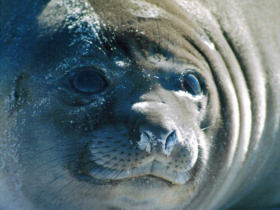 Falkland Islands holiday
