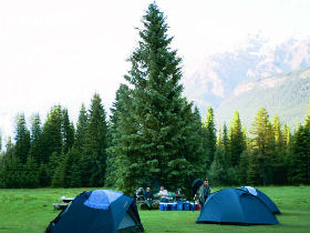 Rocky Mountains wildlife vacation in Canada