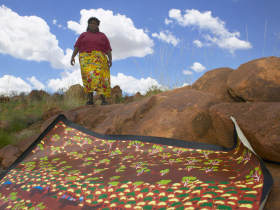 Aboriginal art tour in Australia