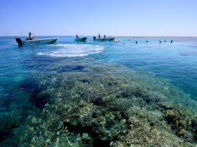 Luxury cruise in Western Australia, snorkel & dive
