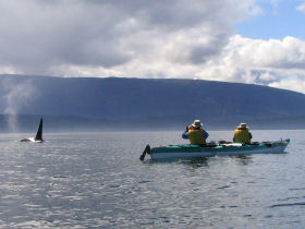 Vancouver Island kayaking tours, Canada