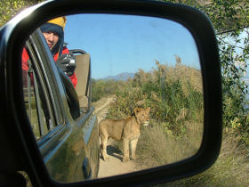 South Africa wildlife conservation expedition
