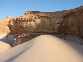 Sinai camel safari