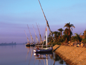 Discover Egypt tour