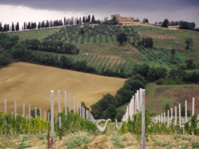 Volunteering work in Italy