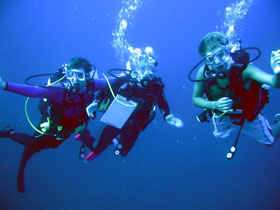 Marine conservation in Madagascar