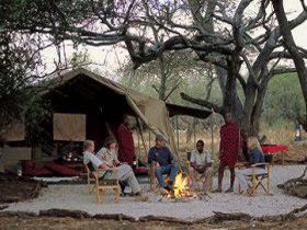 Big cat safari in Kenya