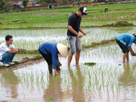 Hanoi to Ho Chi Minh vacation in Vietnam