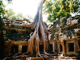 Angkor Wat tours, tailor made
