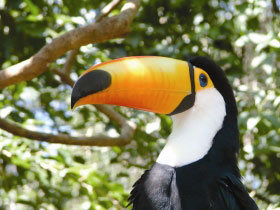 Ecuador and Amazon vacation