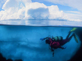 Antarctic diving expedition