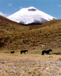 Ecuador vacation, community based tourism