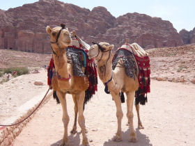 Jordan & Syria tailor made vacation
