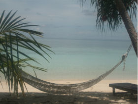 Borneo tailor made vacation, wildlife & beaches