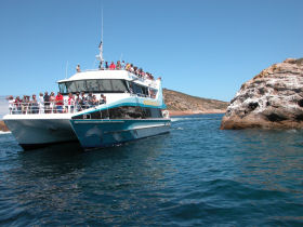 Esperance day tours, Bay of Isles cruise, Western Australia