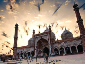 North India cultural tour