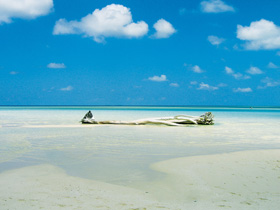 Maldives vacations, Dhoni cruise