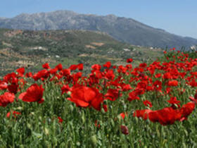 Walking in Andalucia, Spain
