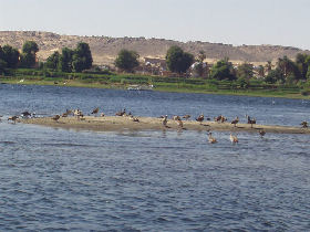 Nile cruises