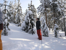 Vacation in Lapland, tailor made vacation in Sweden
