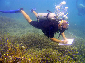 Marine conservation vacation in Thailand