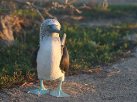 Galapagos adventure vacation