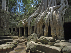 Cambodia photography vacation