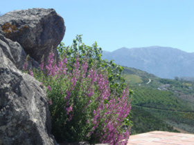 Spain self guided walking vacation in Andalucia