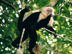 Costa Rica tour