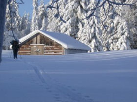 Cross country skiing in Lapland, Sweden