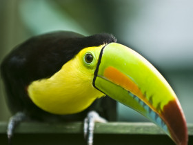 Panama trekking vacation, Darien Gap