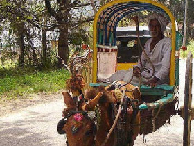 History, culture & wildlife of India vacation