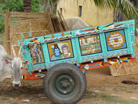 Southern India tour, temples & nature