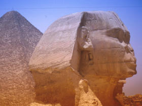 Egypt tours using local transport