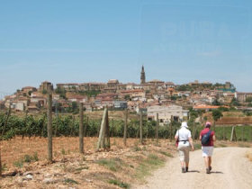 Small group vacation in Rioja, Spain