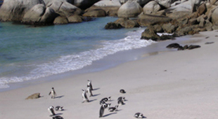 South Africa vacations