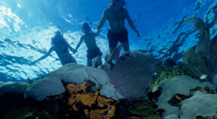 Bahamas vacations