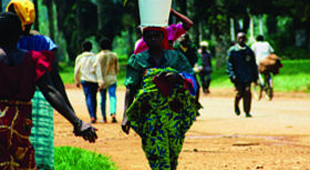 Congo vacations